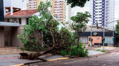 Temporal que deixou rastro de destruição teve rajada de vento de 95 km