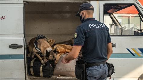 Operación Fronteriza Internacional En Puertos Y Aeropuertos Del Mediterráneo Oipol And Oijust