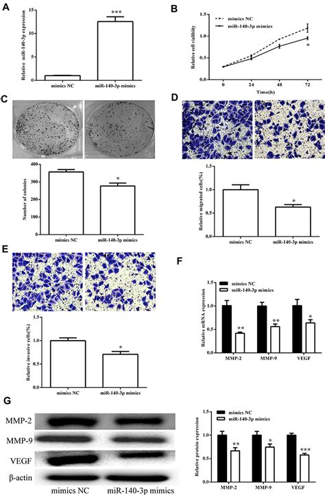 CircRNA SMARCC1 Sponges MiR 140 3p To Regulate Cell Progression In Col