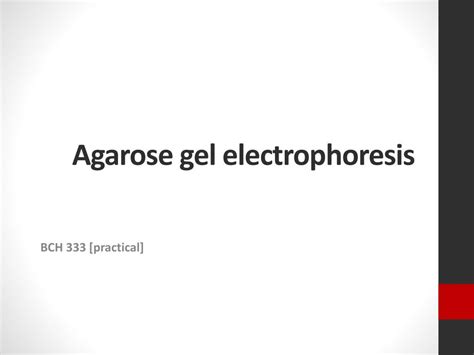 Ppt Agarose Gel Electrophoresis Powerpoint Presentation Free