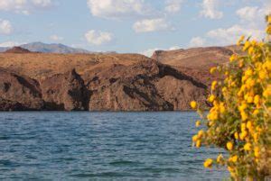 Lake Havasu Fishing Guide: Tip to Catching Bass and More in Arizona ...