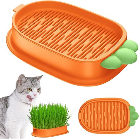 Gimocool 3pcs Cat Nips Grass Planter Tray Catnip Cat Grass Box Cat Grass Growing Kit Grass