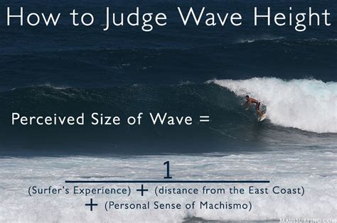 Maui Wave Size - Judging Wave Heights - Maui Surfing