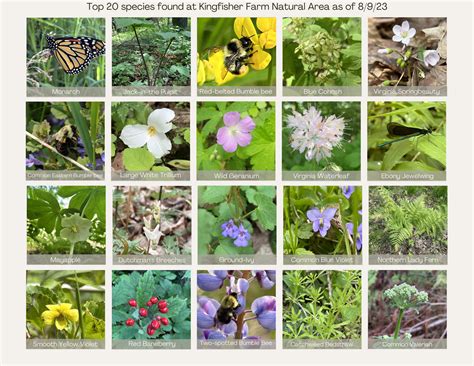 How to Conduct a Wisconsin Statewide Inmate Search 33