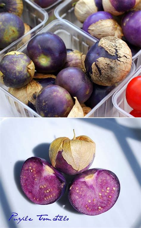 Seed Needs Purple Tomatillo Seeds For Planting Physalis Ixocarpa