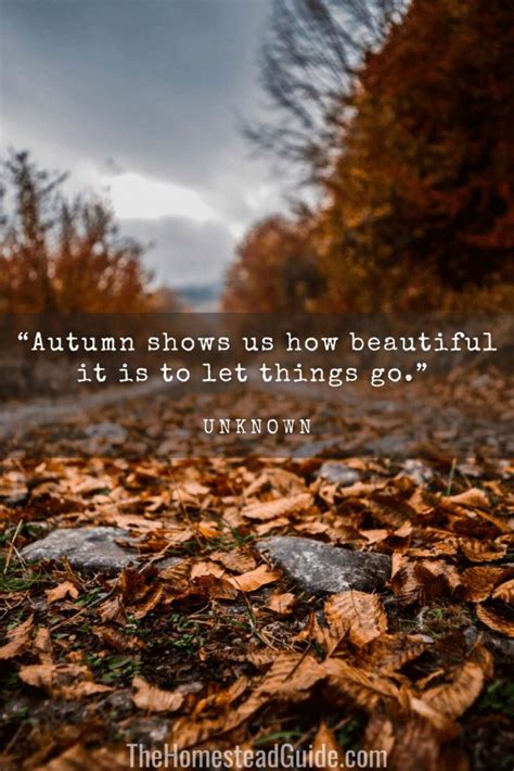 95+ Fall Quotes and Images that Capture the Beauty and Melancholy of ...