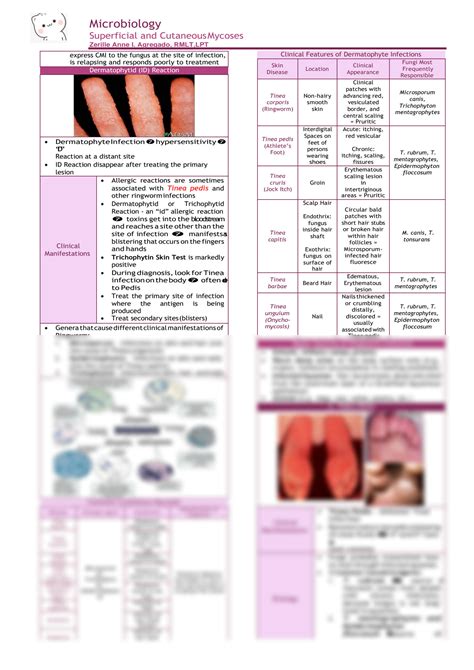 SOLUTION Micro Superficial And Cutaneous Mycoses Converted Studypool