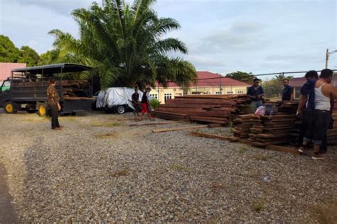 Polisi Tangkap Pelaku Illegal Logging Di Abdya Antara News Aceh