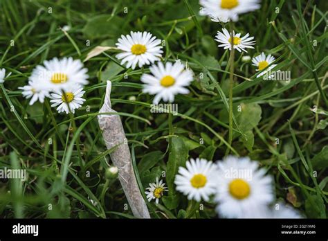 Gemeinsames Gelenk Fotos Und Bildmaterial In Hoher Aufl Sung Alamy