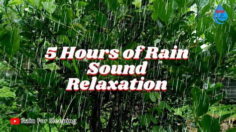 5 Hours Of Rain Sound Relaxation Ultimate Stress Relief Deep Sleep