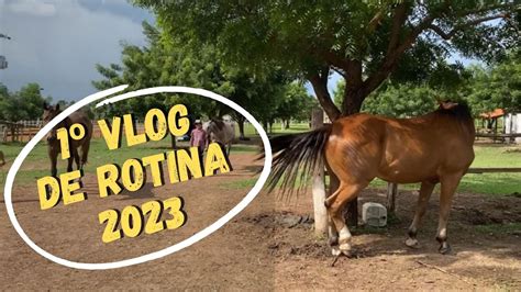 1º VLOG DE ROTINA MEU POTRO 2023 vlog vaquejada vaquejadaaovivo