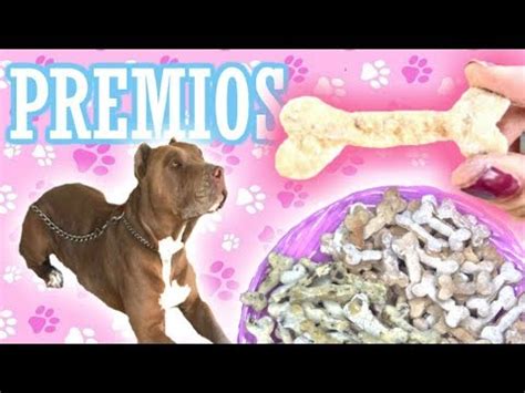 Haz Premios Para Perro En El Microondas Super Facil Brenda Pe Youtube