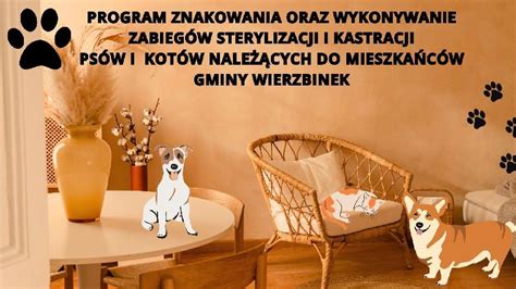 Urz D Gminy Wierzbinek Strona G Wna