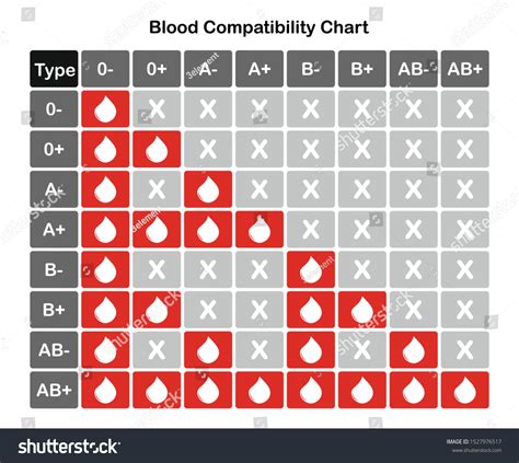 blood type chart images stock  vectors shutterstock
