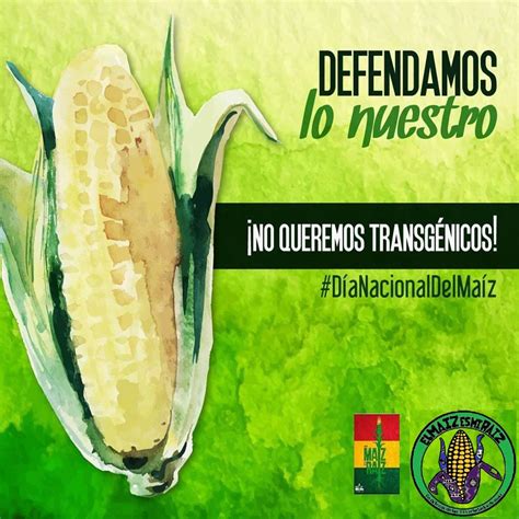 Violación A Los Derechos De La Madre Tierra Transgénicos Y Agrotóxicos En Bolivia Red