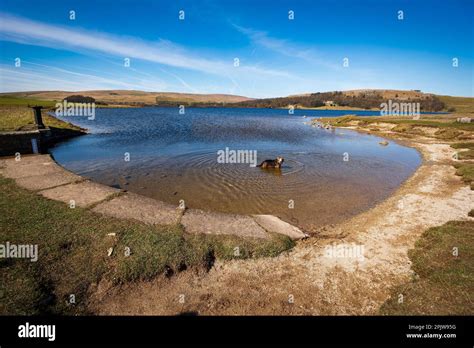 malham tarn north yorkshire national park malham stock photo alamy