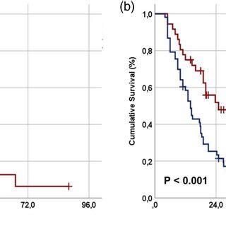 Comparative Survival Outcomes Per Pan Immune Inflammation Value Piv