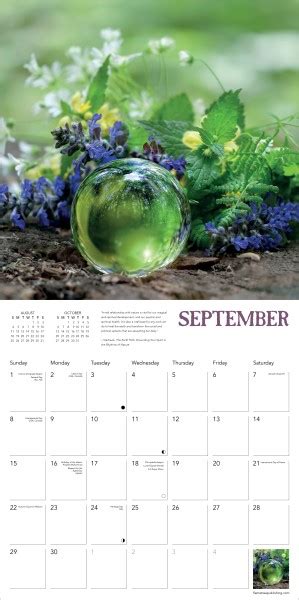 2024 Wiccan Wall Calendar Carla Cosette