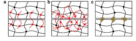 Figure 2 From Topological Adhesion II Stretchable Adhesion Semantic