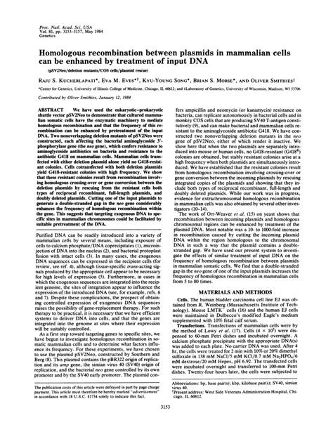 Pdf Homologous Recombination Between Plasmids In Mammalian Cells Can