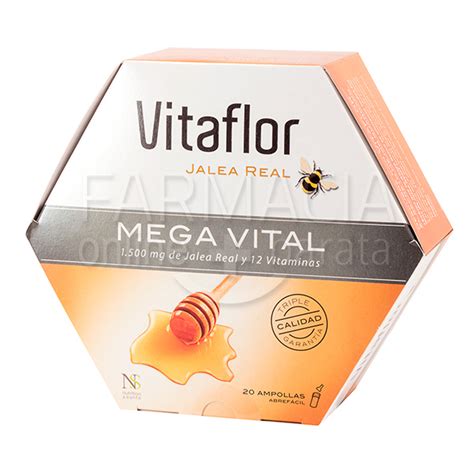 Vitaflor Jalea Real Mega Vital Mg Jalea Real Y Vitaminas