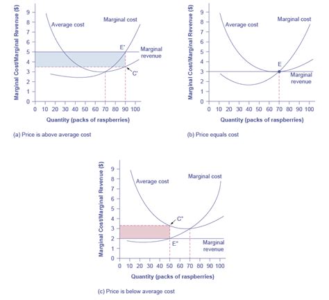 perfectly competitive firms  output decisions economics