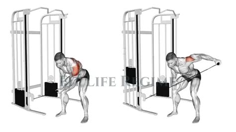 Rear Delt Cable Fly: How To Do, Muscles Worked, Tips