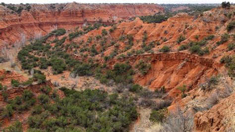 Best Hikes At Beautiful Caprock Canyons State Park Texas Pine Coast Hiking