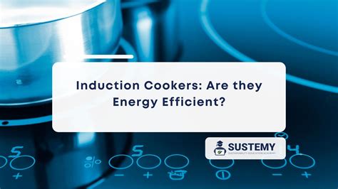 Are Induction Cookers Energy Efficient? - Sustainability Education Academy