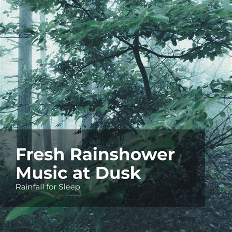 Fresh Rainshower Music At Dusk Album By Rainfall For Sleep Spotify