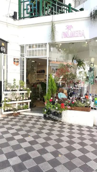 Florista Palmera Grow Shop Tienda De Cultivo Vivero Boutique Tienda De