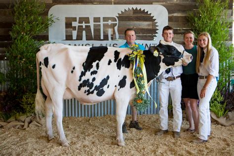 Junior Livestock Auction Bids & Updates - Stanislaus County Fairgrounds