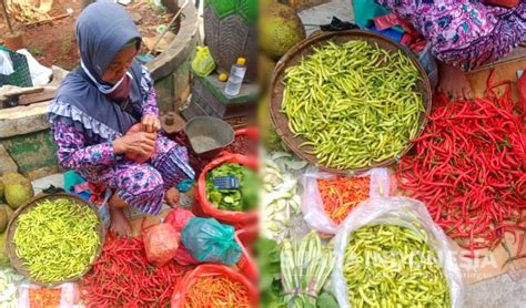 Harga Cabai Di Tuban Naik Turun Cabai Rawit Merah Tembus Rp 110000