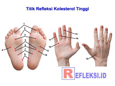 Titik Refleksi Kolesterol Sistem Tubuh Manusia Akupresur Titik