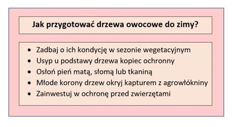 Jak Skutecznie Zabezpieczy Drzewa Owocowe Przed Zim Praktyczne Porady