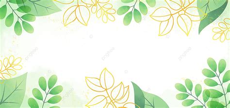 Beautiful White Yellow Green Gold Leaf Plant Natural Background Plant Leaf Gold Leaf