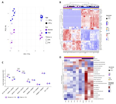 Sex And Age Impact Cd4 T Cell Susceptibility To Hiv In Vitro Through