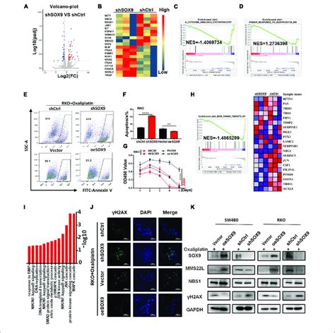 High Expression Of SOX9 Promotes Oxaliplatin Resistance By Inducing