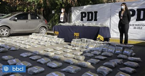 Incautan 881 Millones En Marihuana Cripy Tras Operativo En La Rm Era Ingresada Por Bolivia