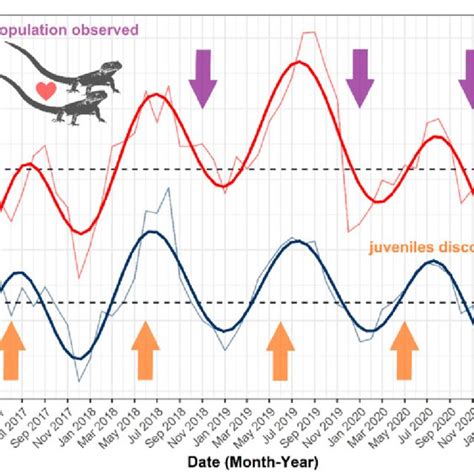 A Temporal Comparison Of Monthly Average Diurnal Surface Temperature In