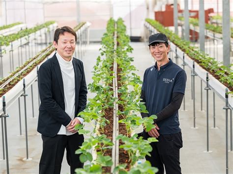 『ヤシガラ培土』で儲かる農業の実現へ！メリットだらけの“未来の培地”の実力とは｜マイナビ農業