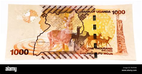 Ugandan Shillings Bank Note Ugandan Shilling Is The National