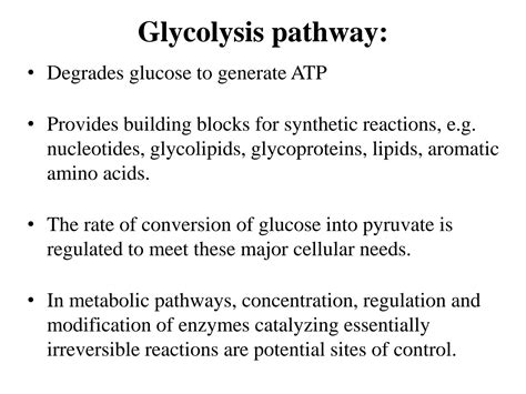 SOLUTION Lecture 14 Regulation Of Carbohydrates Metabolism Studypool