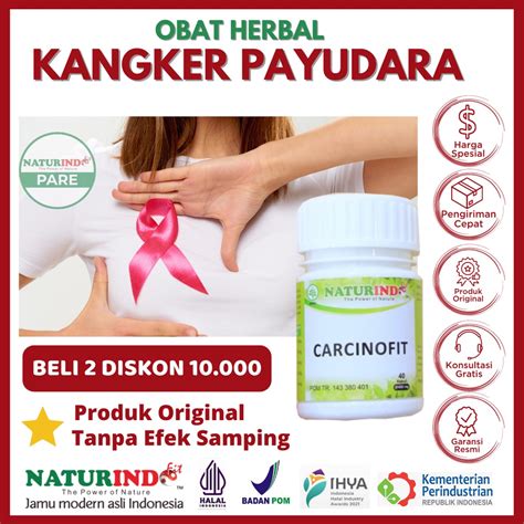 Jual Obat Kanker Payudara Serviks Servic Tumor Herbal Kanker Hati Otak