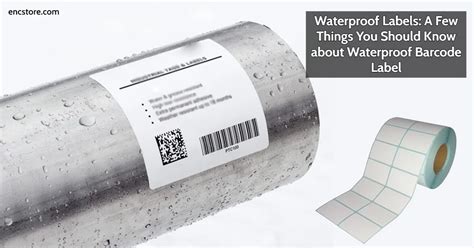 Waterproof Labels: A Few Things You Should Know About Waterproof ...