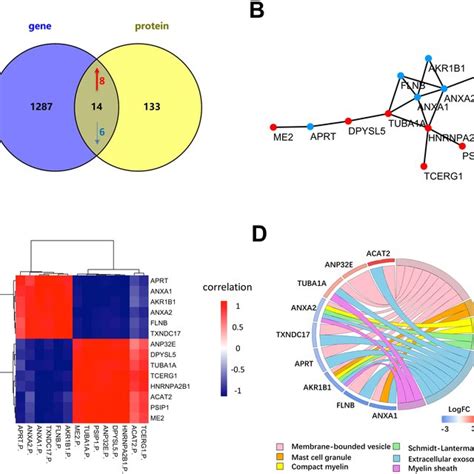 Differentially Expressed Proteins Between NSCLC And SCLC Cell Lines At