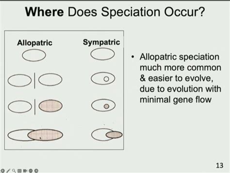 Species, Speciation, and Hybridization (Set 21) Flashcards | Quizlet