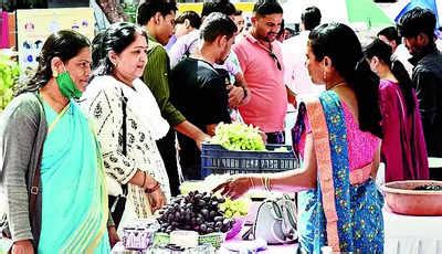 Grape Harvest Festival: Grape Harvest Festival in Nashik: 50 Stalls of ...