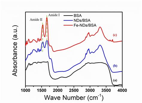 Fourier Transform Infrared FTIR Spectra A BSA B NDs BSA