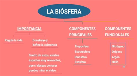 LA BIOSFERA Su Importancia Y Componentes YouTube